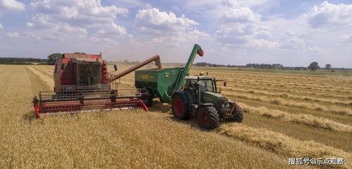 進(jìn)口美國大豆 透視我國農(nóng)業(yè)戰(zhàn)略與全球市場(chǎng)聯(lián)動(dòng)